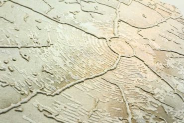 “World tree” painting serie behind the scene video . 2016