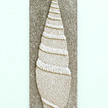 Shell . 32 x 83 cm