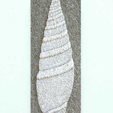 Shell . 32 x 83 cm